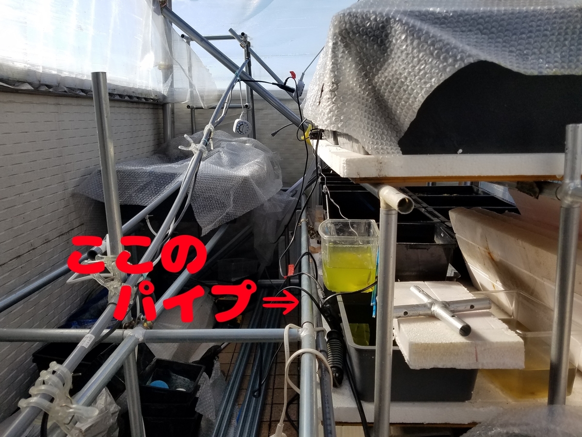 f:id:e-medaka-3846:20200204094358j:plain