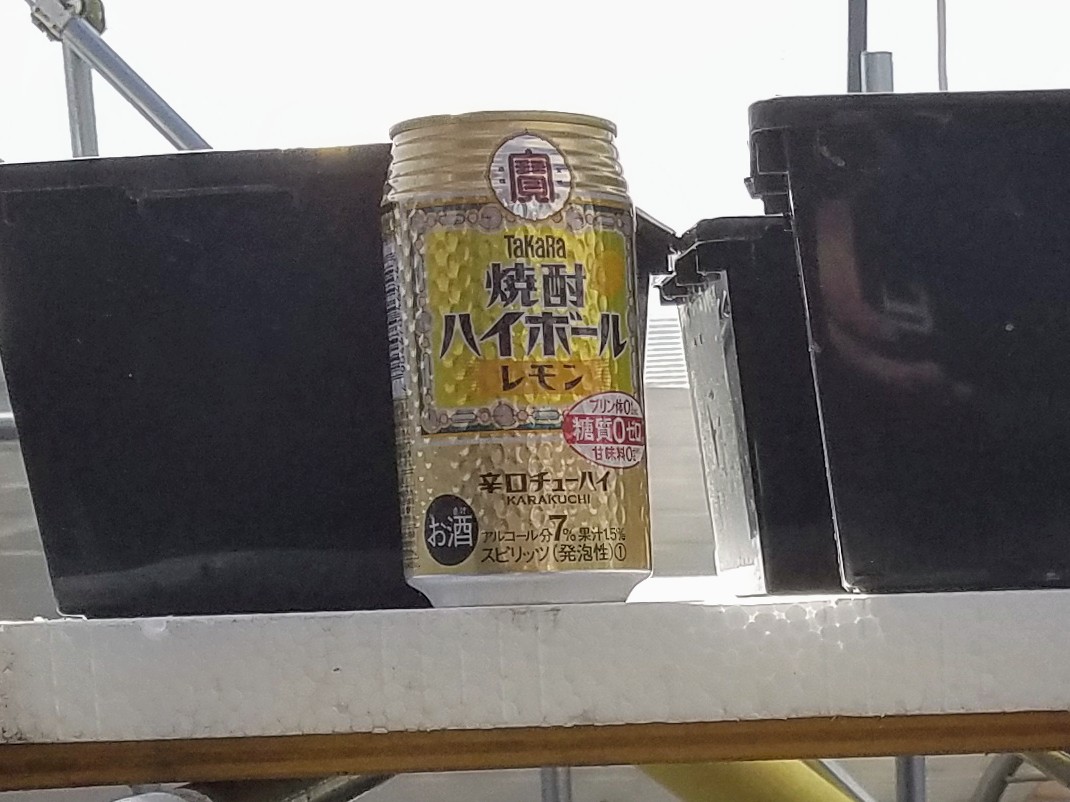 f:id:e-medaka-3846:20200205092221j:plain f:id:e-medaka-3846:20200205092221j:plain