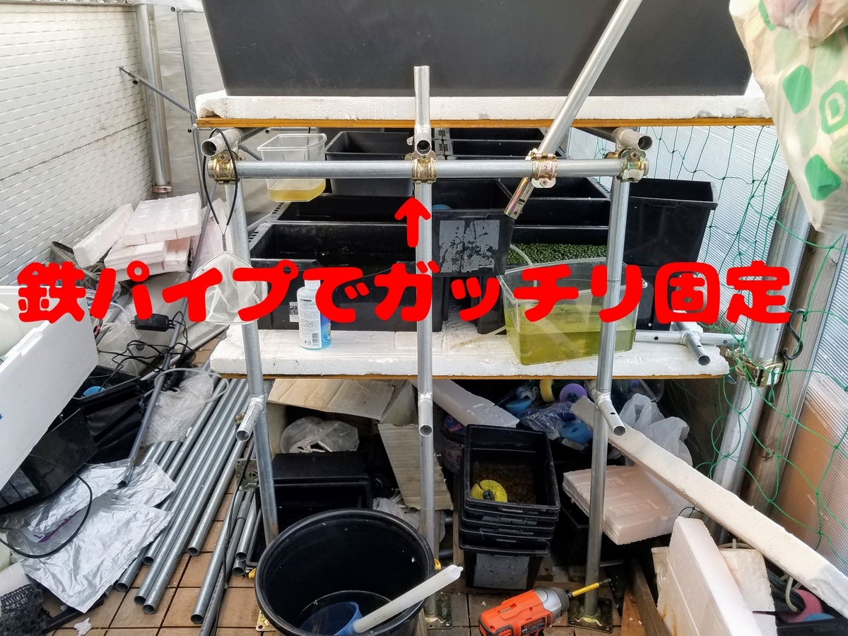 f:id:e-medaka-3846:20200206091328j:plain