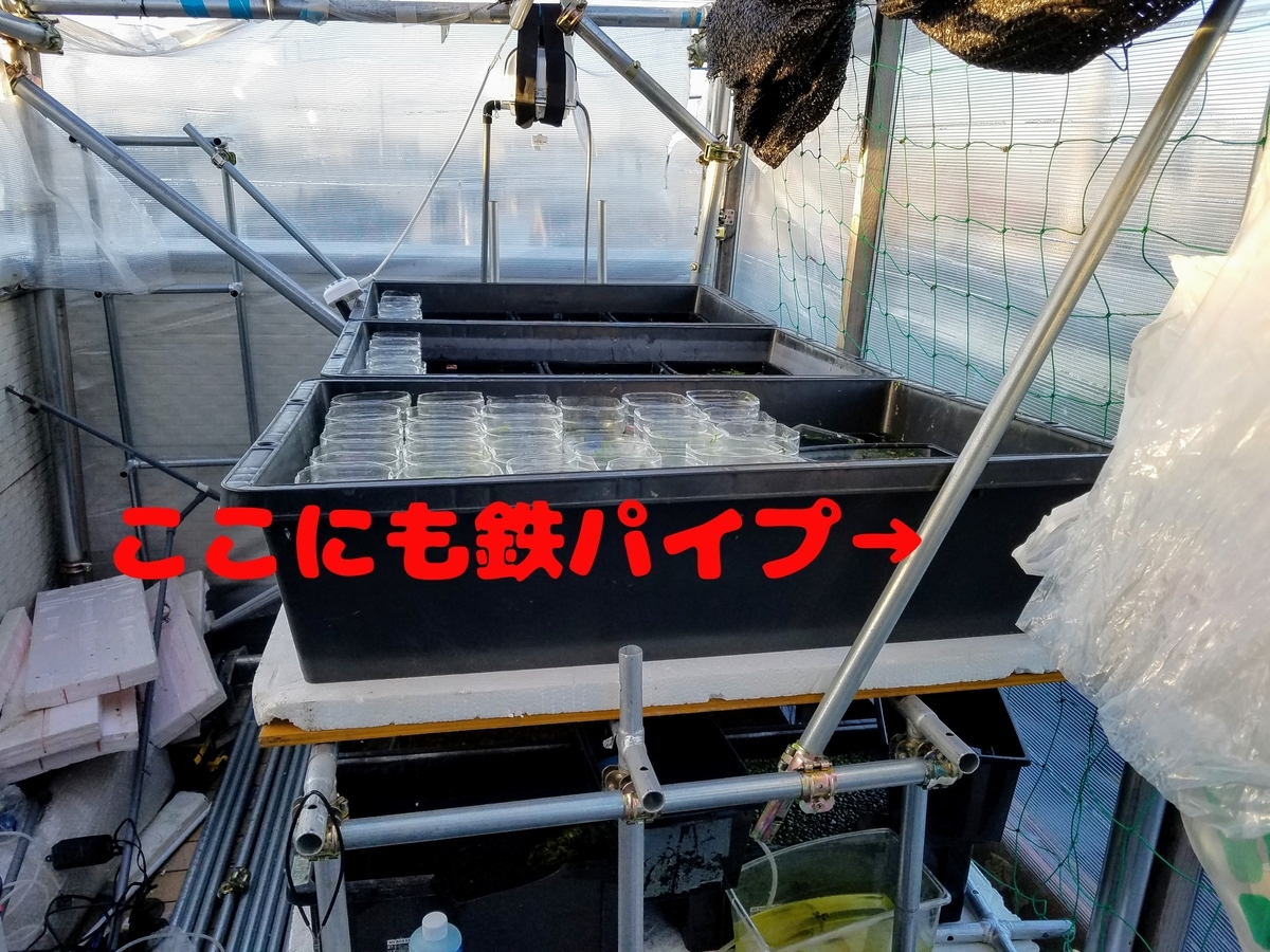 f:id:e-medaka-3846:20200206091430j:plain