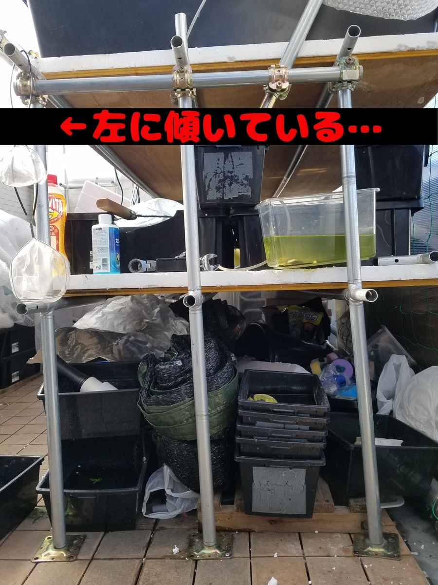 f:id:e-medaka-3846:20200211071734j:plain