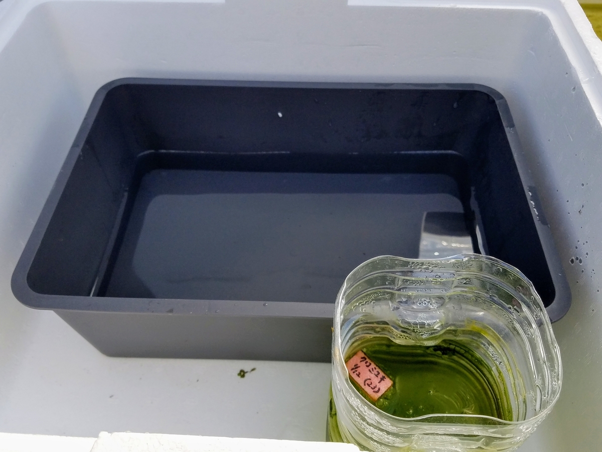 f:id:e-medaka-3846:20200212092857j:plain f:id:e-medaka-3846:20200212092857j:plain