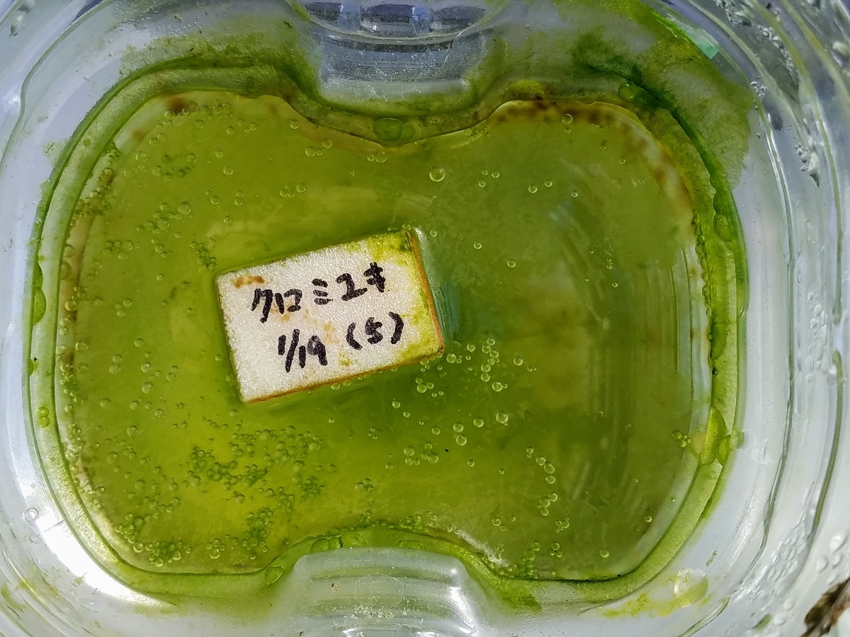 f:id:e-medaka-3846:20200212092923j:plain f:id:e-medaka-3846:20200212092923j:plain