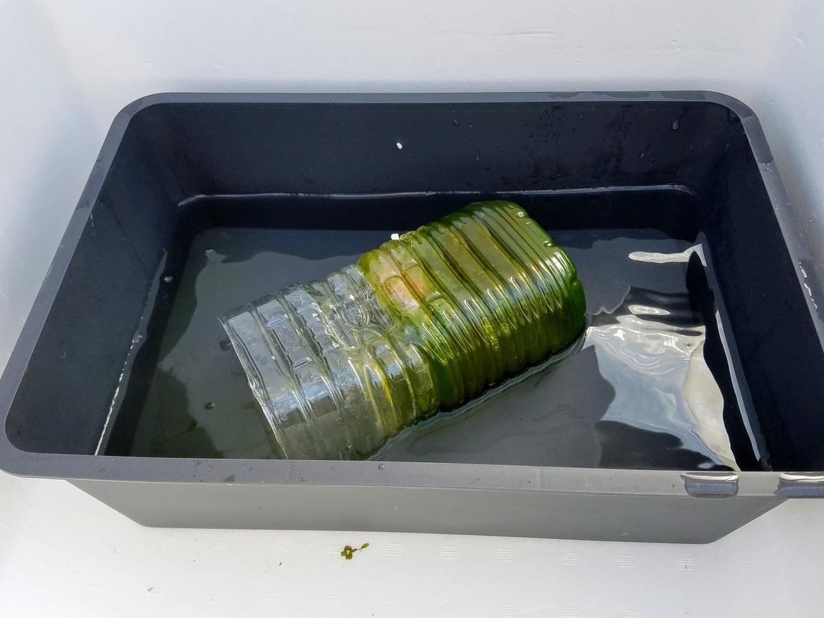 f:id:e-medaka-3846:20200212093000j:plain f:id:e-medaka-3846:20200212093000j:plain