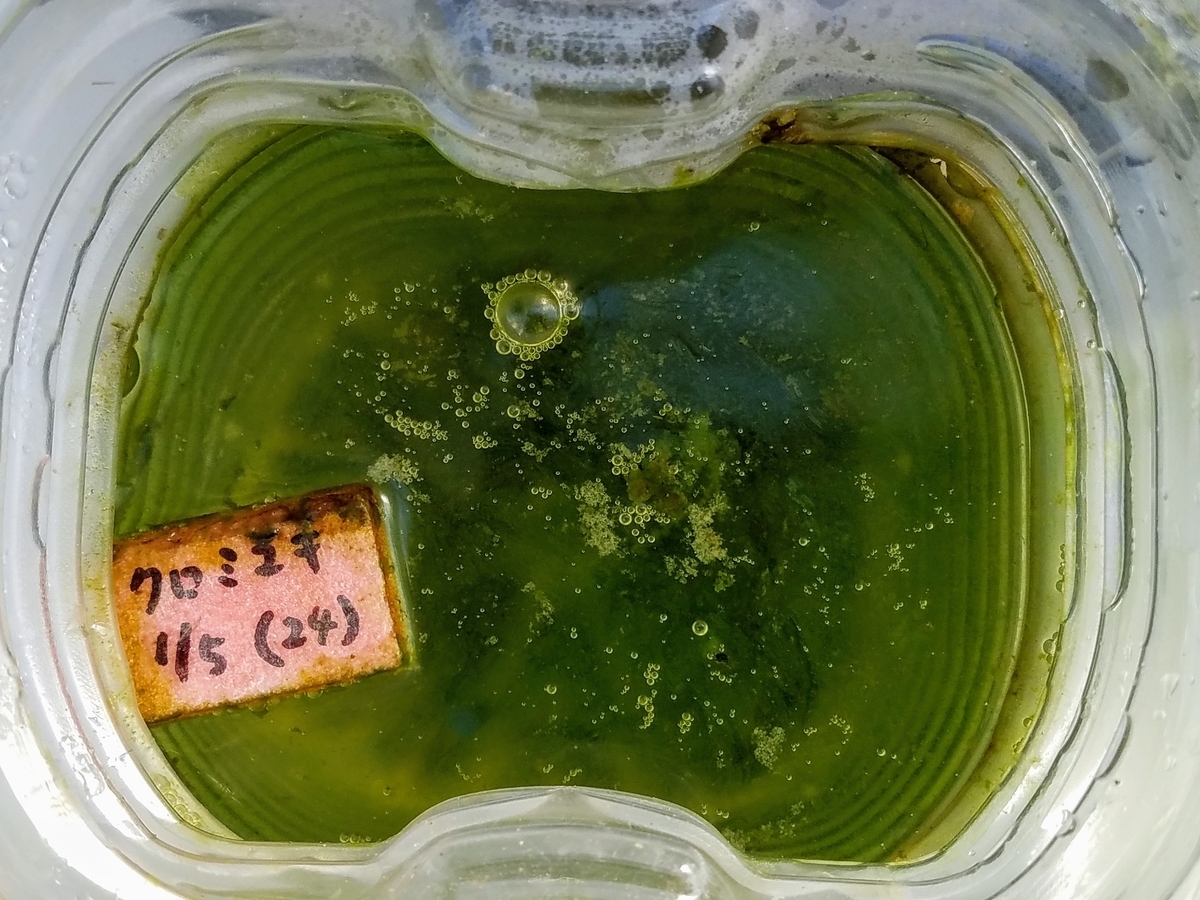 f:id:e-medaka-3846:20200212093057j:plain f:id:e-medaka-3846:20200212093057j:plain