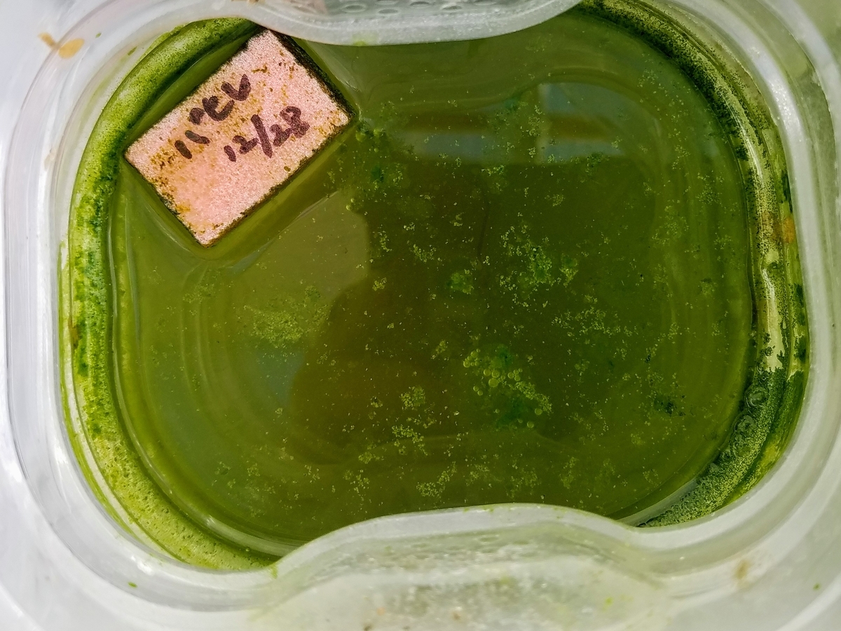 f:id:e-medaka-3846:20200217192403j:plain