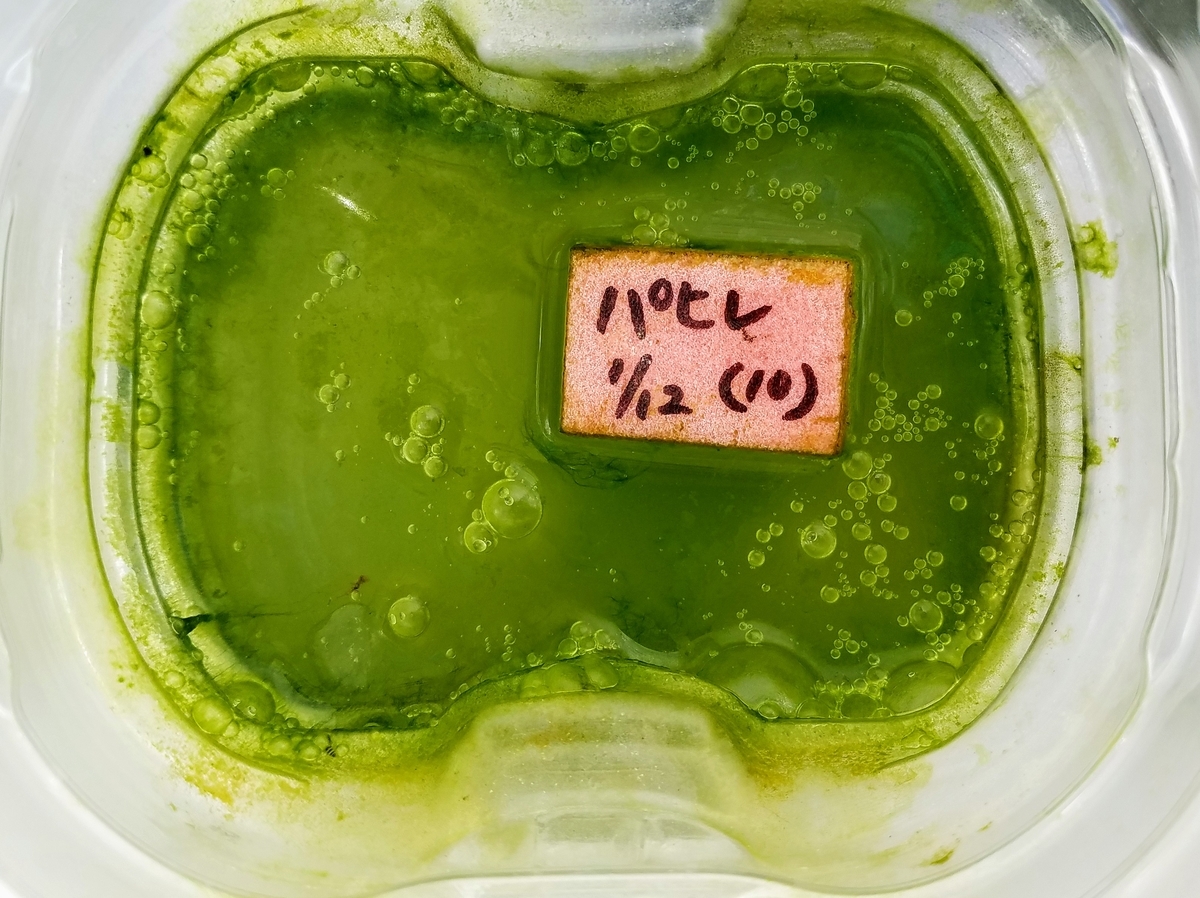 f:id:e-medaka-3846:20200217192445j:plain