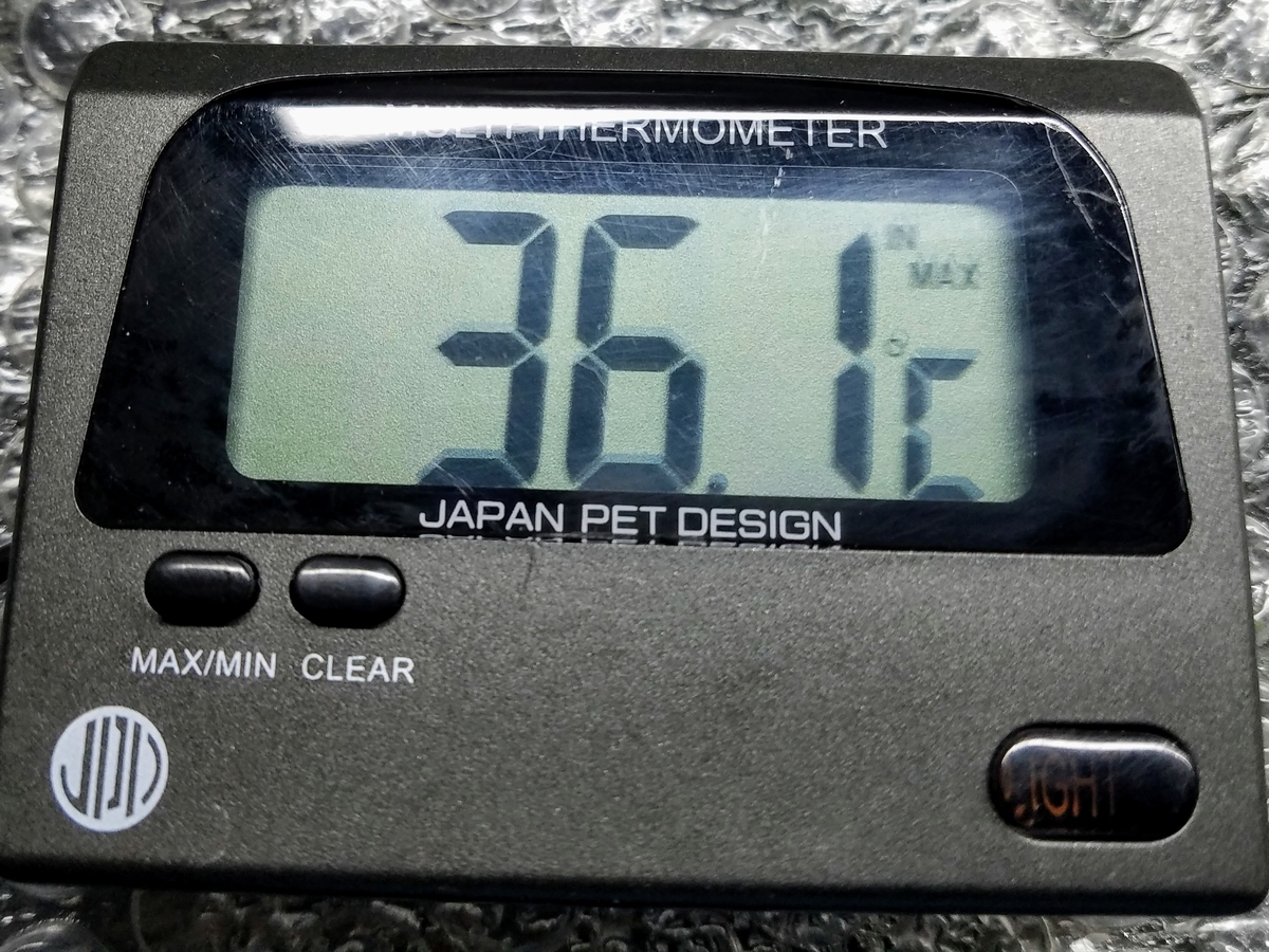 f:id:e-medaka-3846:20200220084245j:plain