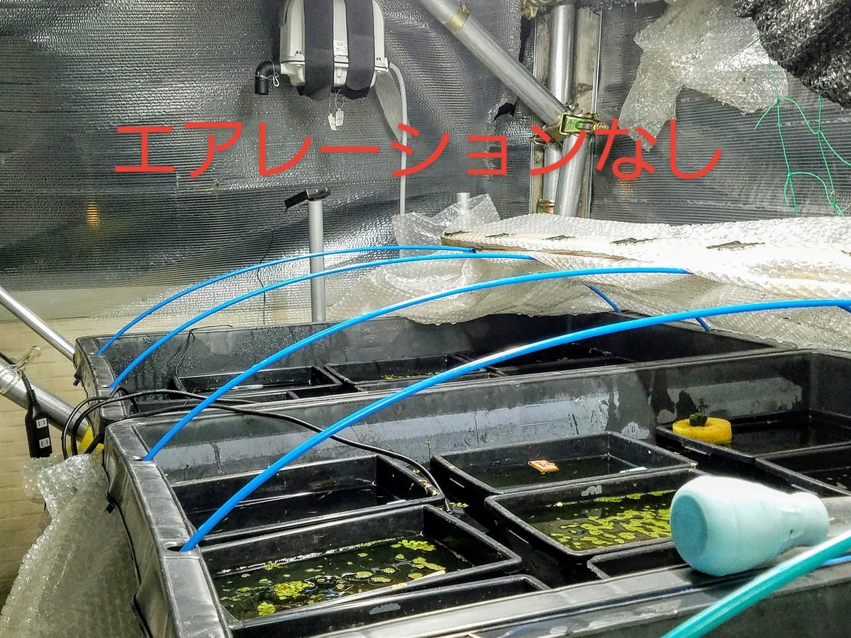 f:id:e-medaka-3846:20200220084422j:plain
