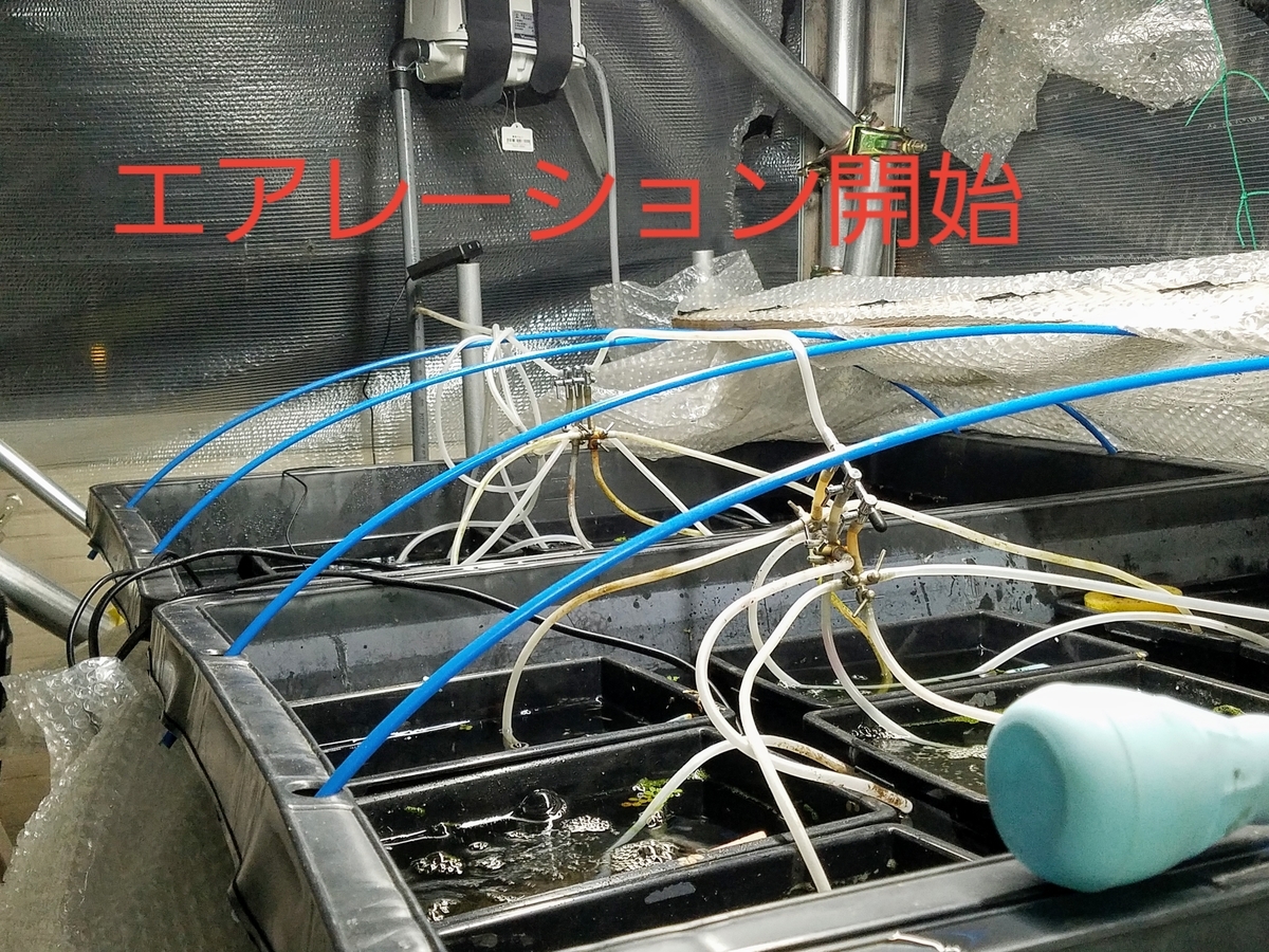 f:id:e-medaka-3846:20200220084807j:plain