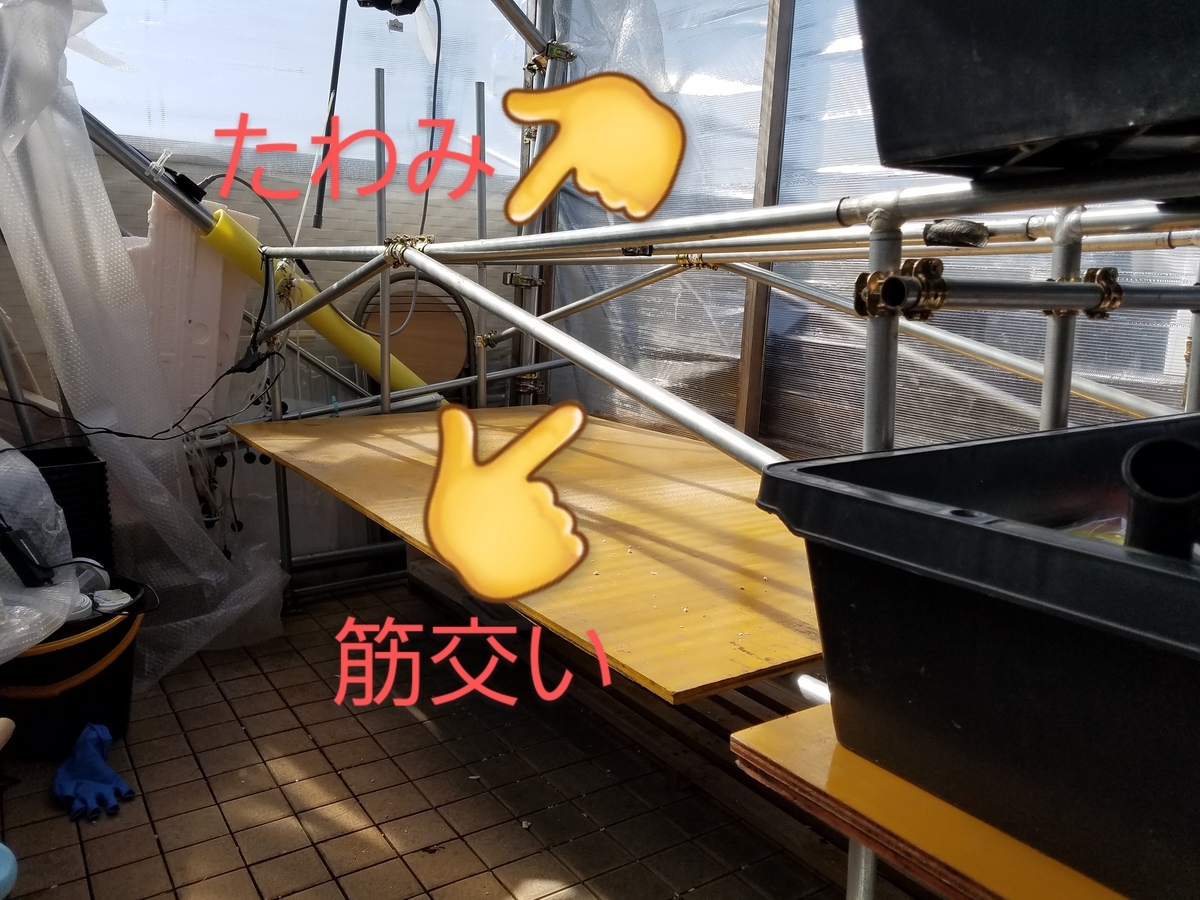 f:id:e-medaka-3846:20200224120631j:plain f:id:e-medaka-3846:20200224120631j:plain