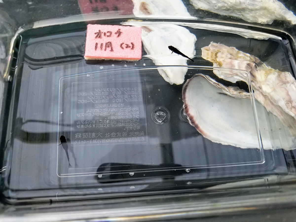 f:id:e-medaka-3846:20200229161431j:plain