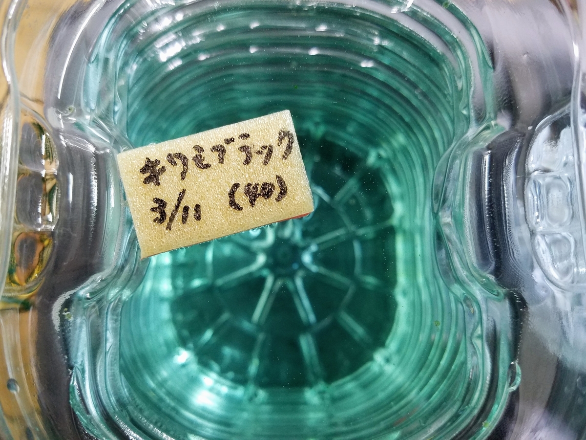 f:id:e-medaka-3846:20200311211610j:plain