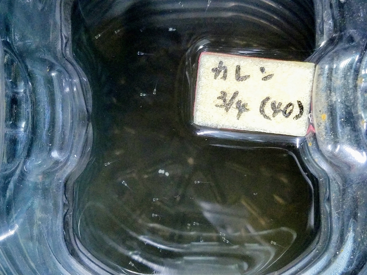 f:id:e-medaka-3846:20200312212024j:plain