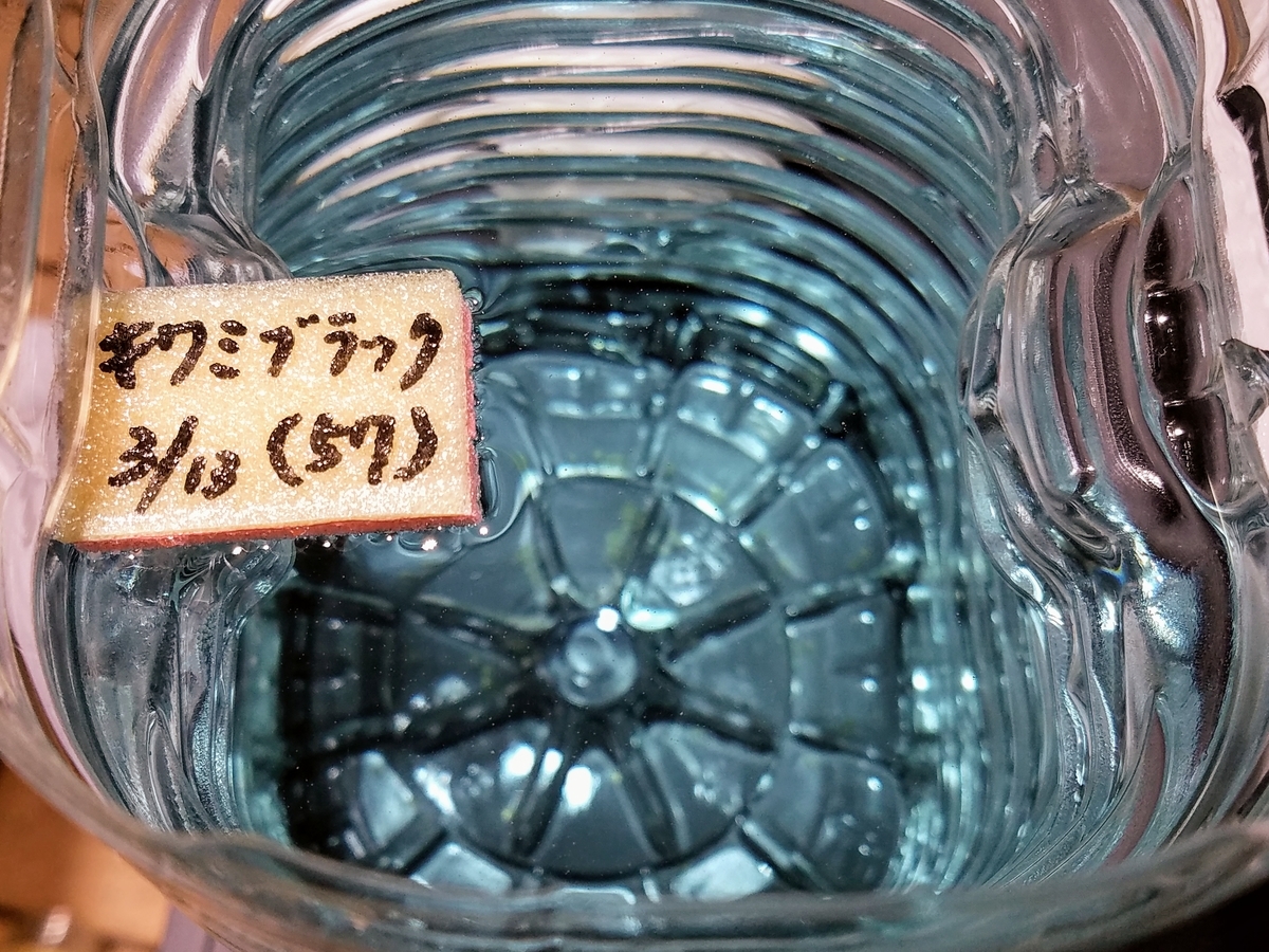 f:id:e-medaka-3846:20200313213409j:plain