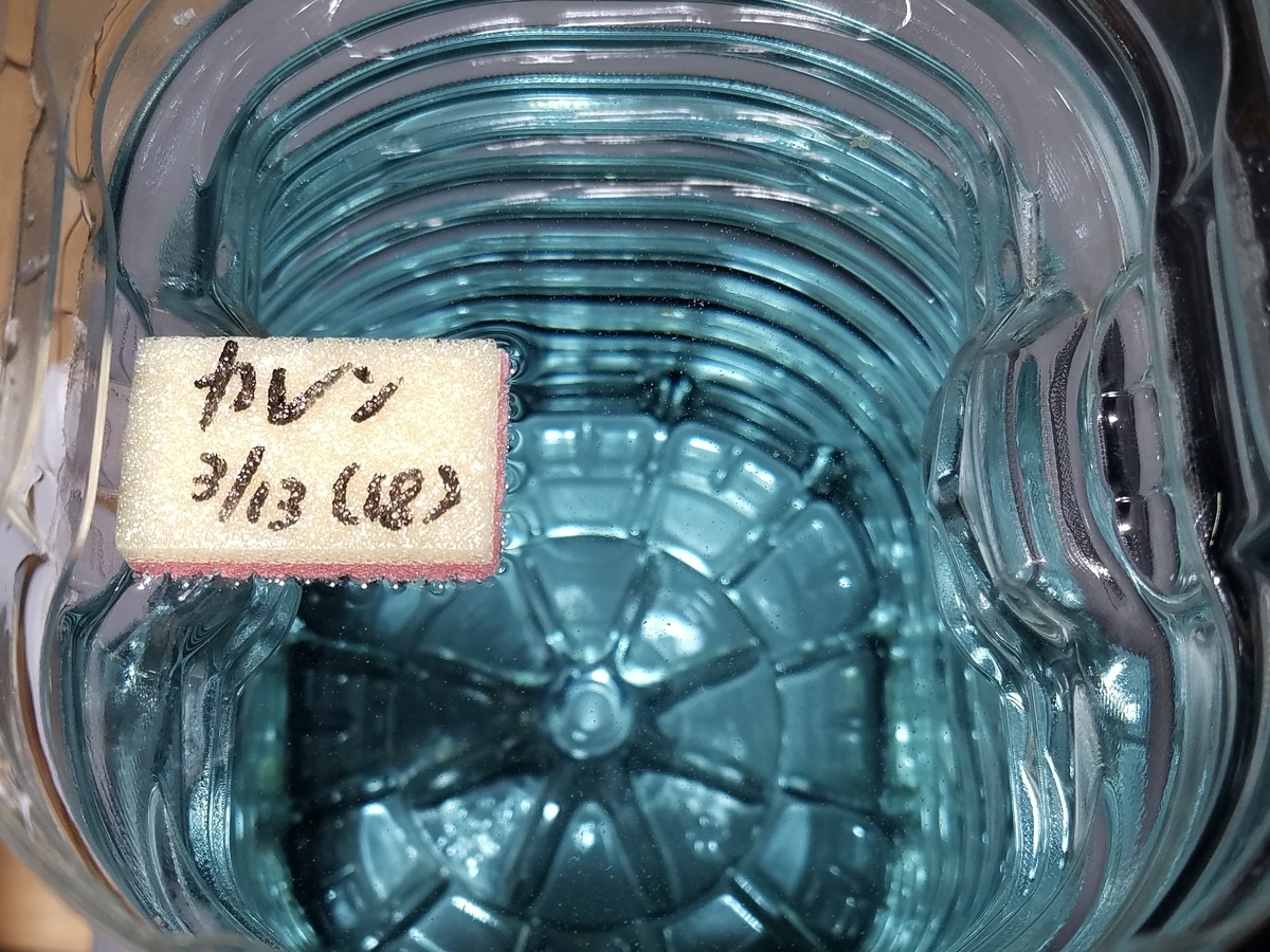 f:id:e-medaka-3846:20200313215119j:plain