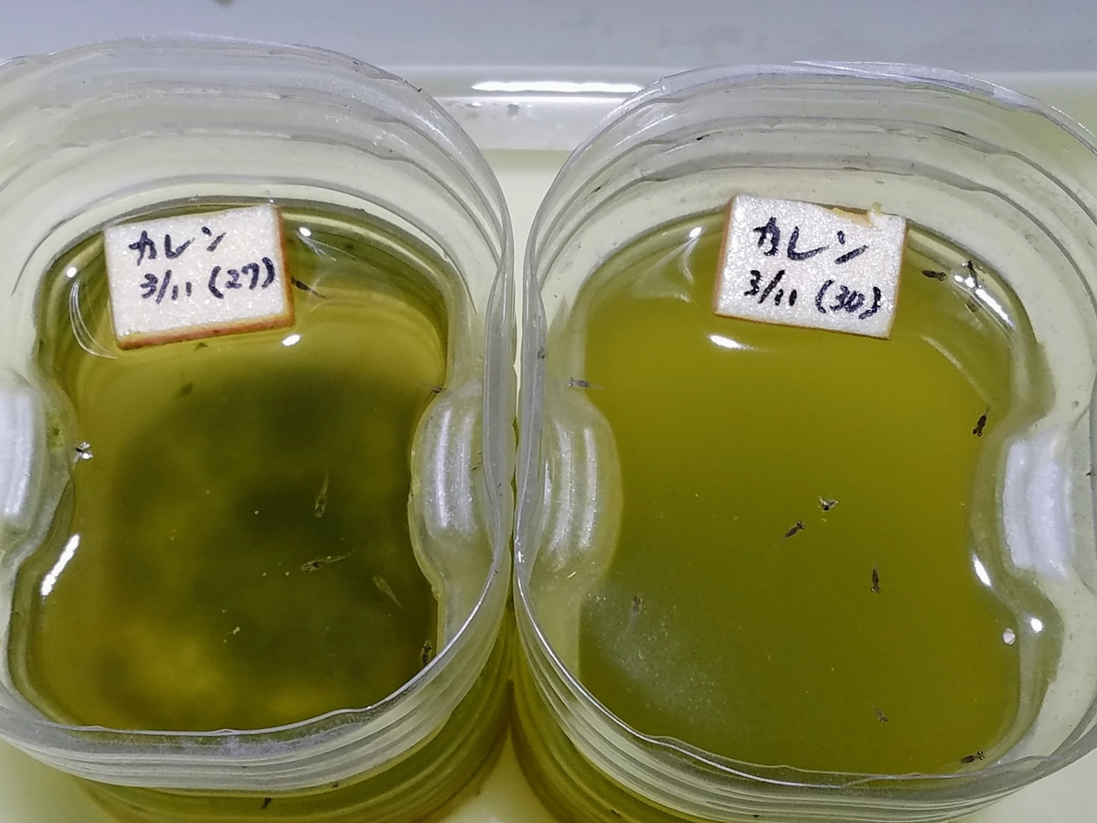 f:id:e-medaka-3846:20200420183035j:plain