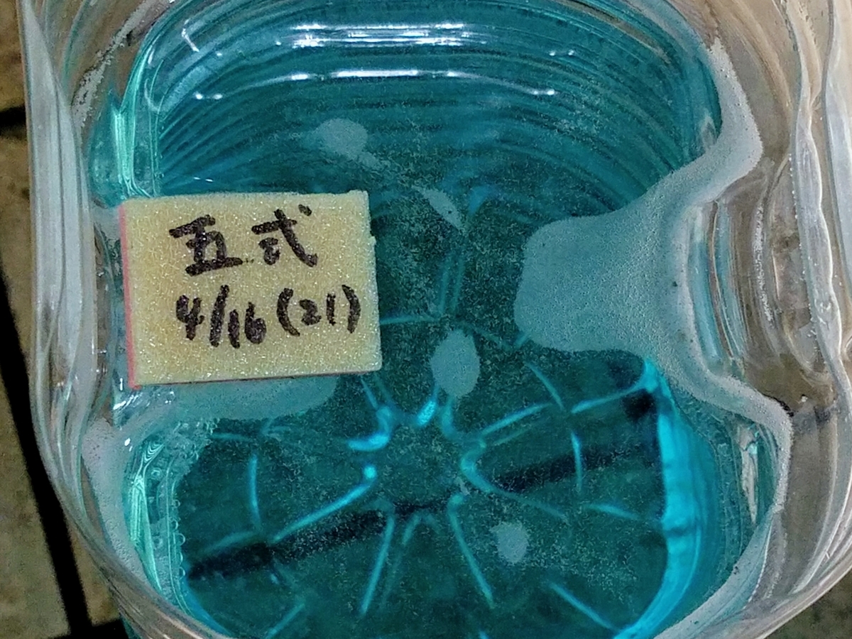 f:id:e-medaka-3846:20200421084515j:plain