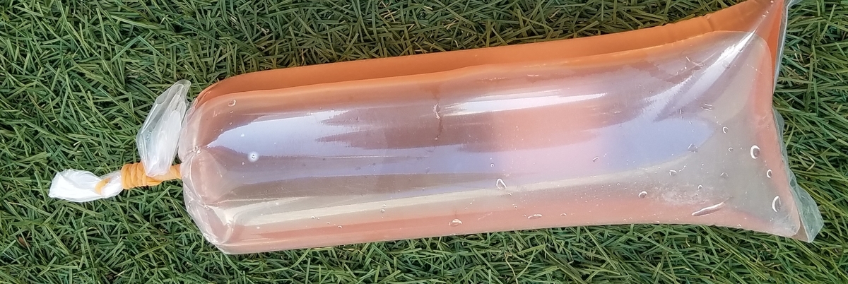 f:id:e-medaka-3846:20200601190016j:plain