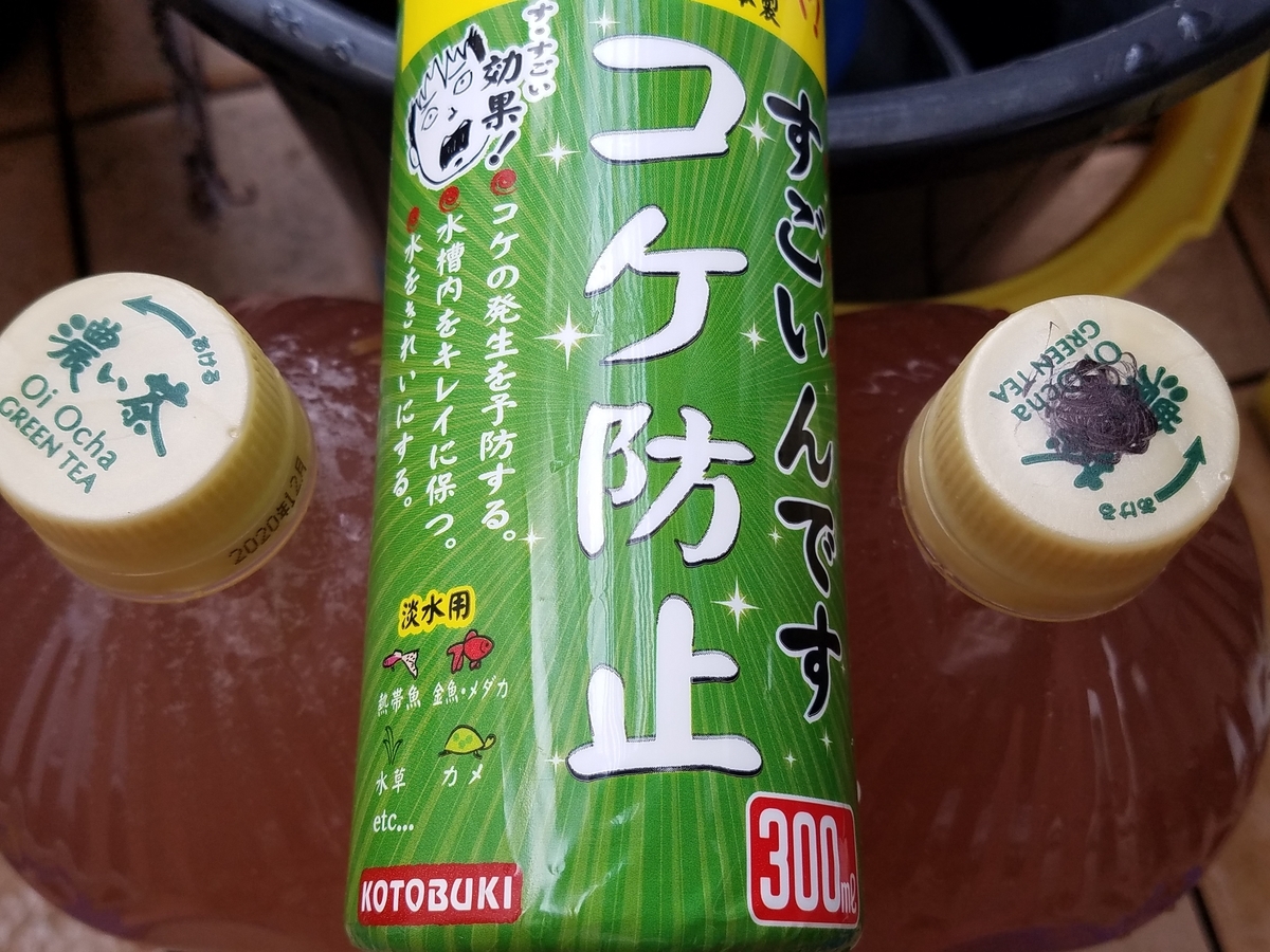 f:id:e-medaka-3846:20200602183648j:plain f:id:e-medaka-3846:20200602183648j:plain