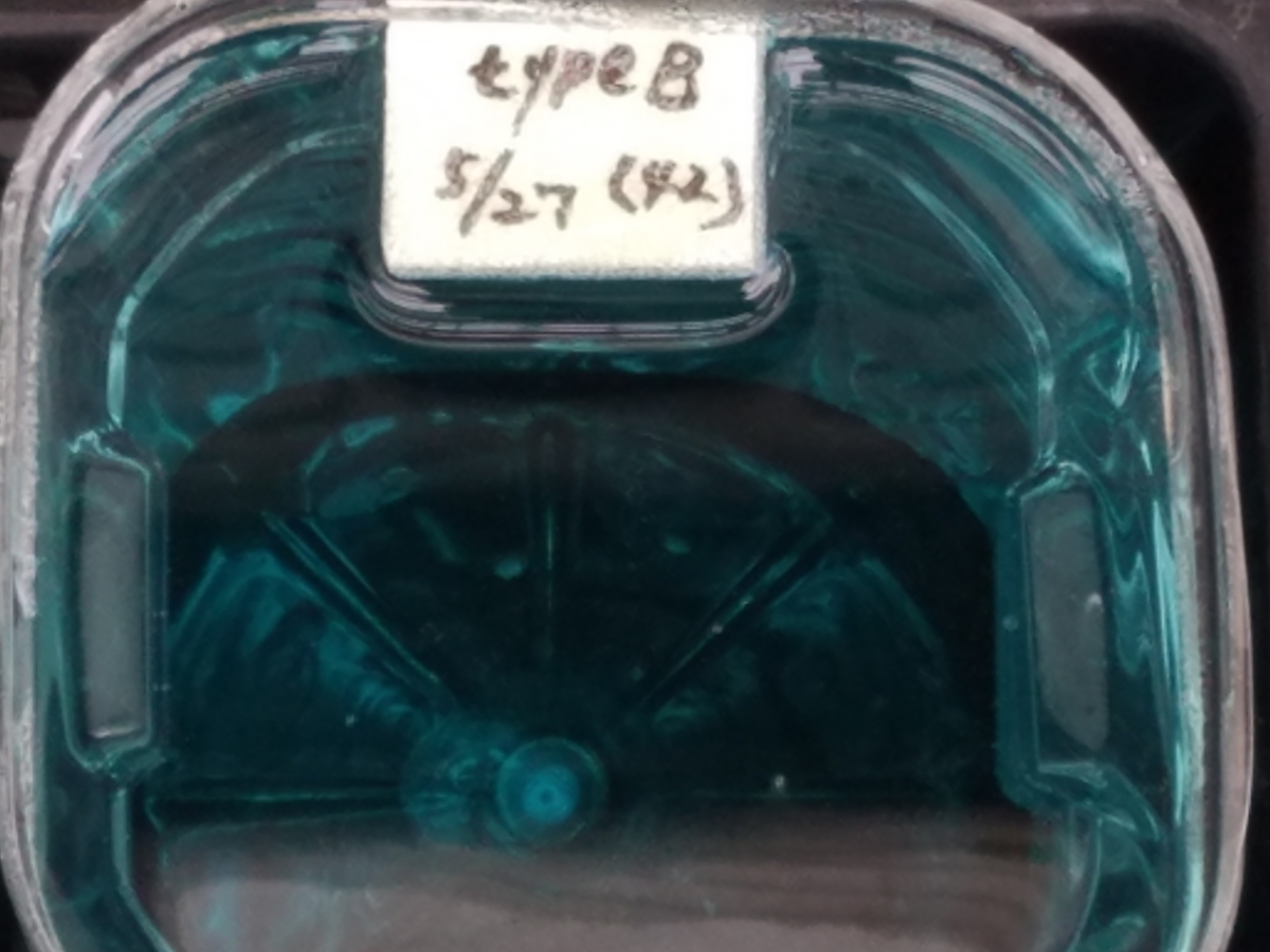 f:id:e-medaka-3846:20200603101645j:plain f:id:e-medaka-3846:20200603101645j:plain