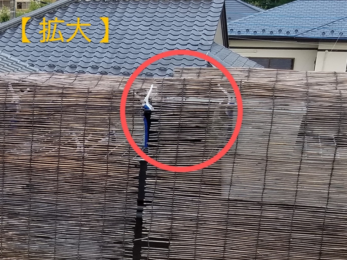 f:id:e-medaka-3846:20200804081048j:plain f:id:e-medaka-3846:20200804081048j:plain