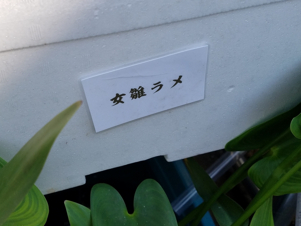 f:id:e-medaka-3846:20200816120450j:plain f:id:e-medaka-3846:20200816120450j:plain