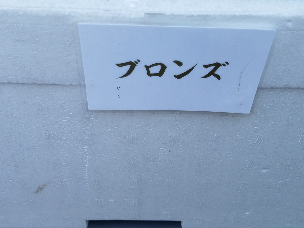 f:id:e-medaka-3846:20200816121021j:plain f:id:e-medaka-3846:20200816121021j:plain