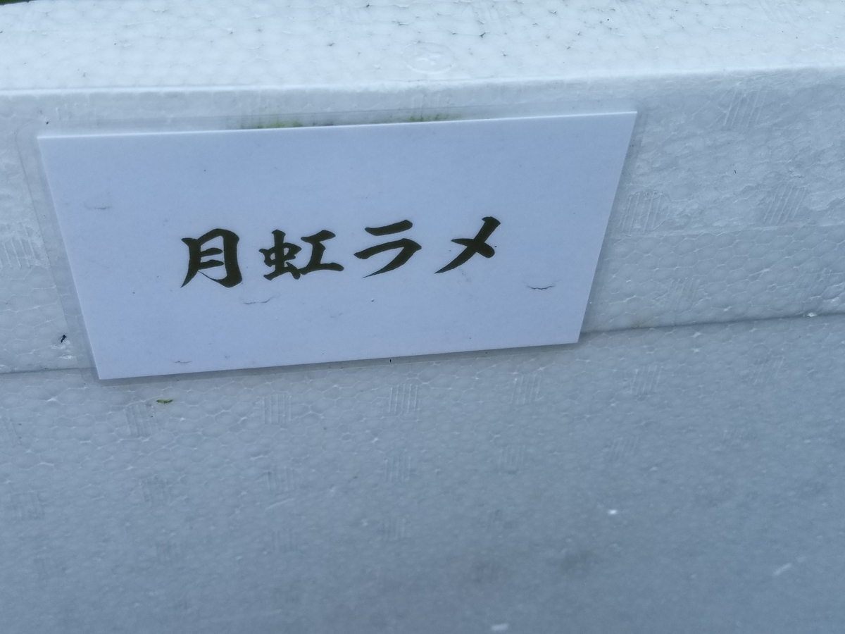 f:id:e-medaka-3846:20200816121216j:plain f:id:e-medaka-3846:20200816121216j:plain