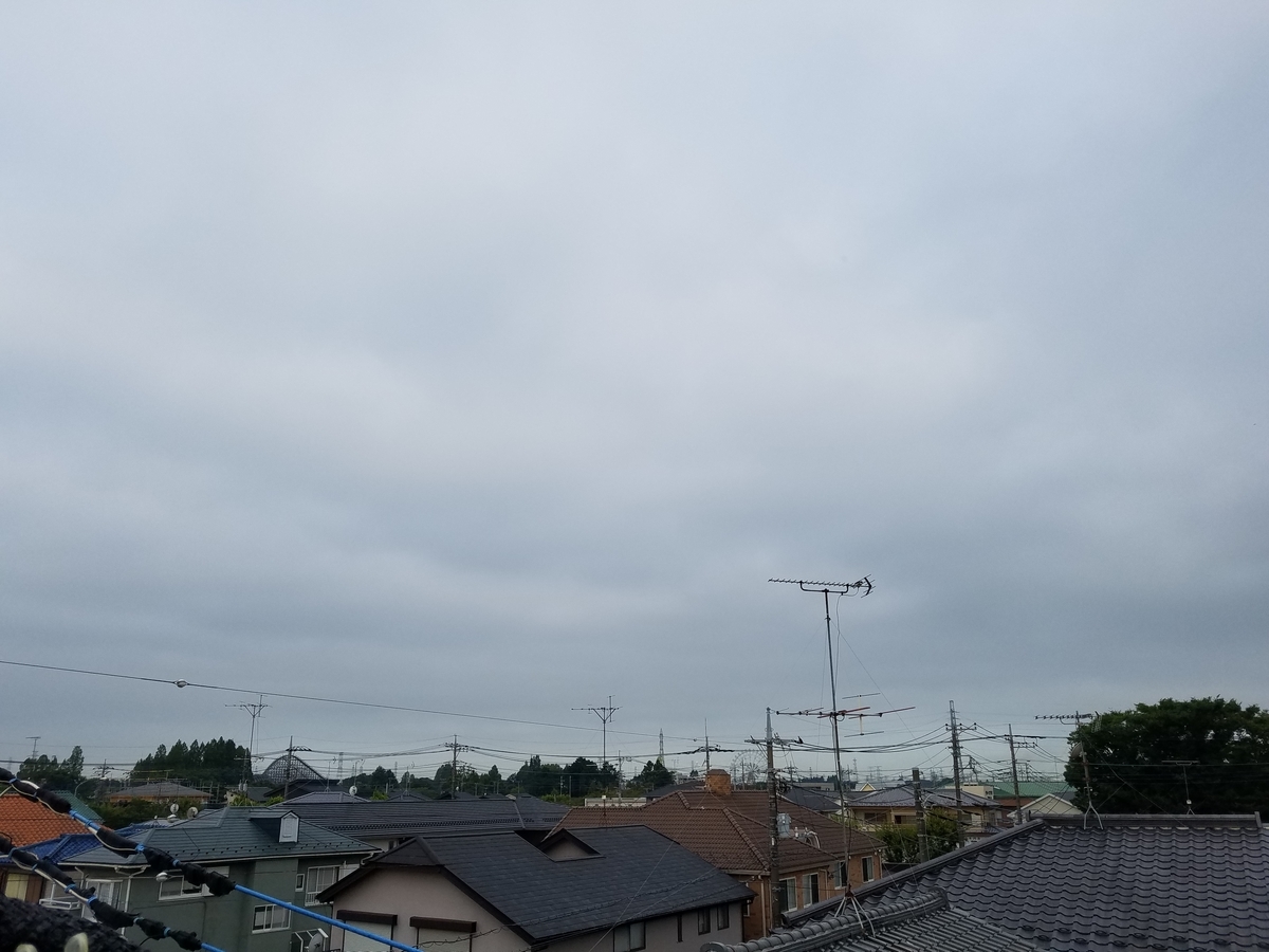 f:id:e-medaka-3846:20200821074457j:plain