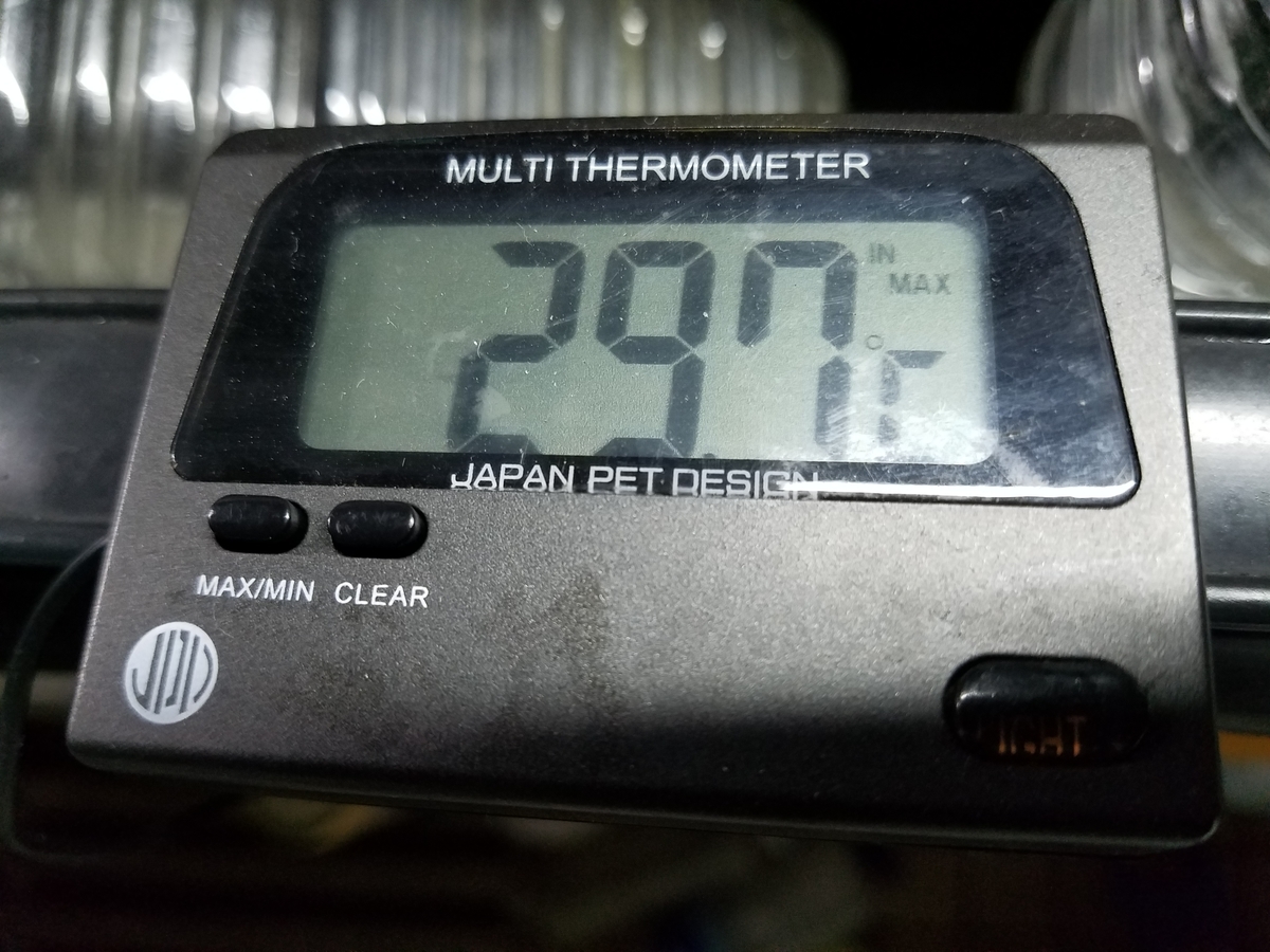 f:id:e-medaka-3846:20200904094815j:plain