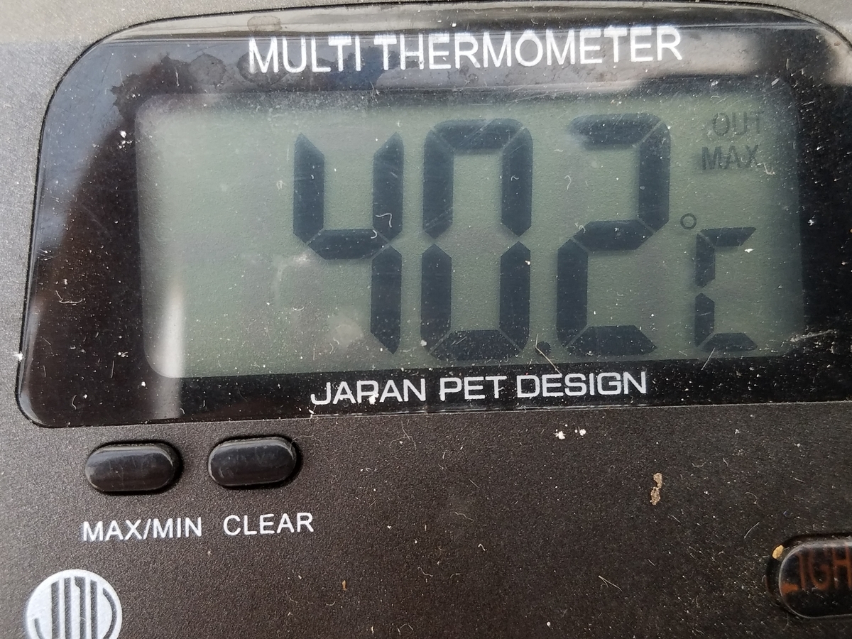 f:id:e-medaka-3846:20201003073424j:plain