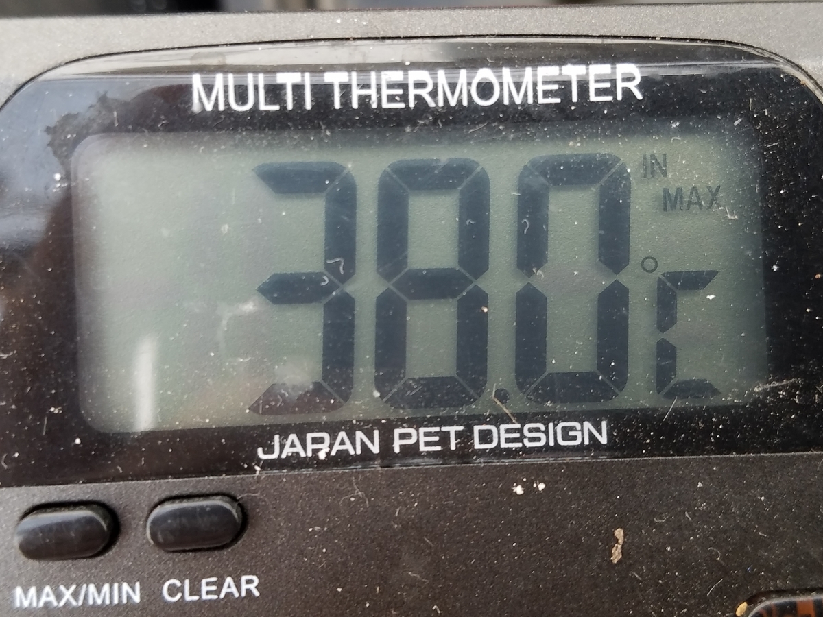 f:id:e-medaka-3846:20201003073645j:plain