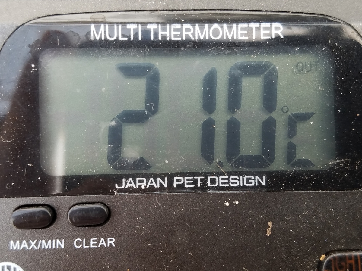 f:id:e-medaka-3846:20201003080817j:plain