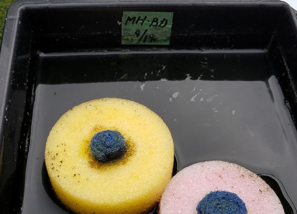 f:id:e-medaka-3846:20201109080302j:plain