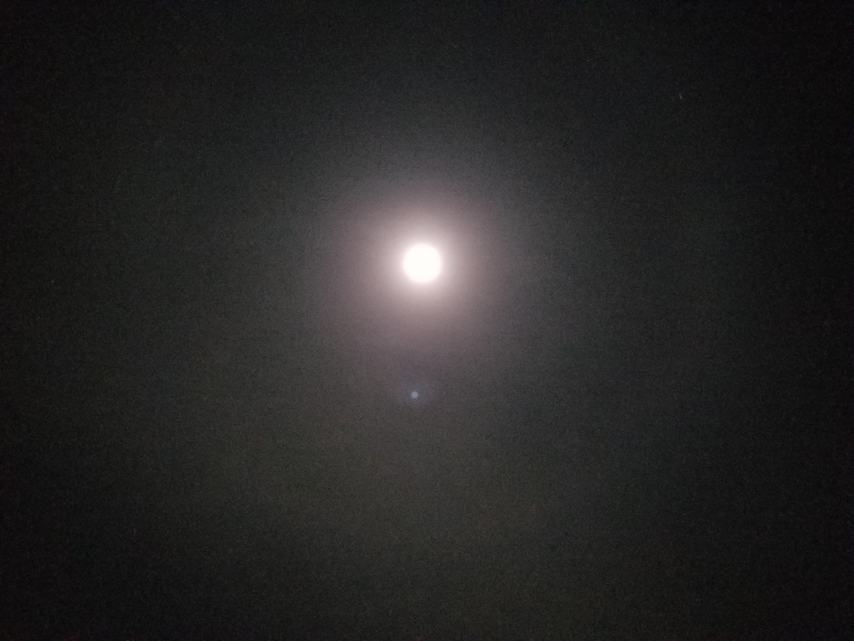 f:id:e-medaka-3846:20201230104329j:plain