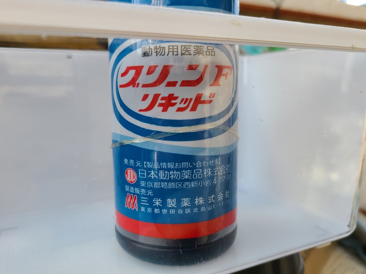 f:id:e-medaka-3846:20210222200328j:plain