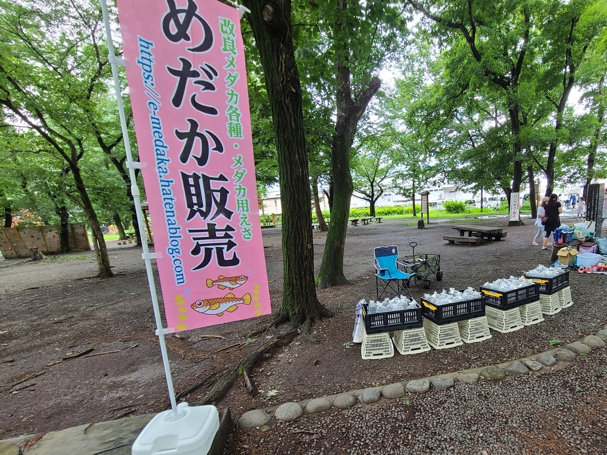 f:id:e-medaka-3846:20210726091209j:plain