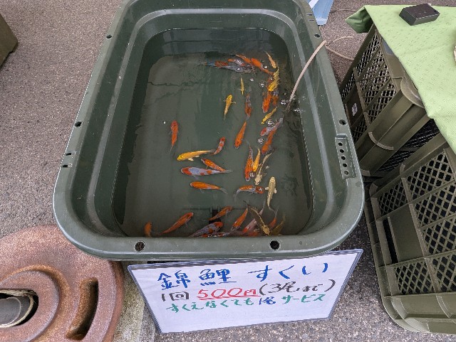 f:id:e-medaka-3846:20250804211021j:image