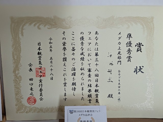 f:id:e-medaka-3846:20250818201419j:image f:id:e-medaka-3846:20250818201419j:image