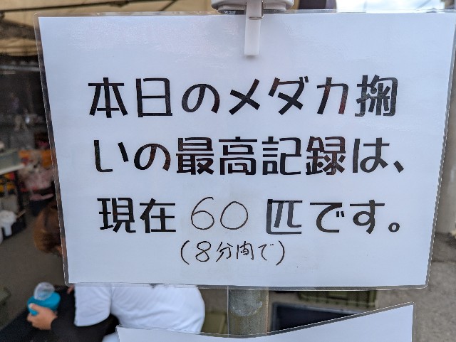 f:id:e-medaka-3846:20250924071354j:image