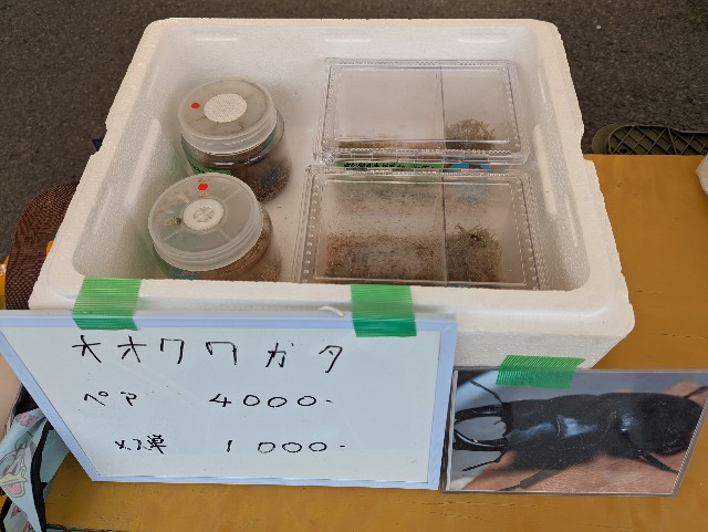 f:id:e-medaka-3846:20251014090051j:image