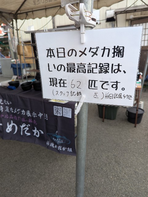 f:id:e-medaka-3846:20251014090157j:image
