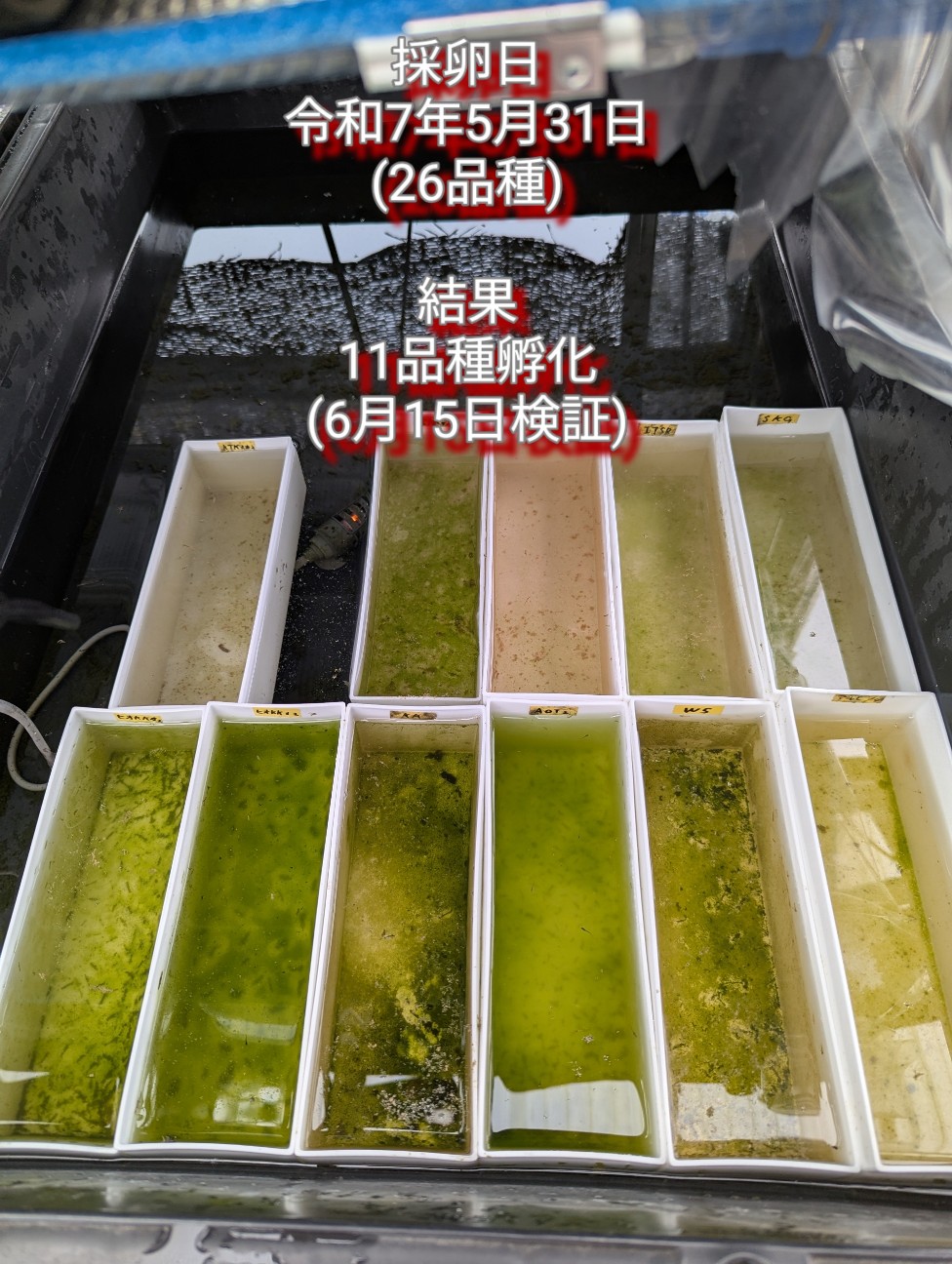 f:id:e-medaka-3846:20251126091754j:image f:id:e-medaka-3846:20251126091754j:image