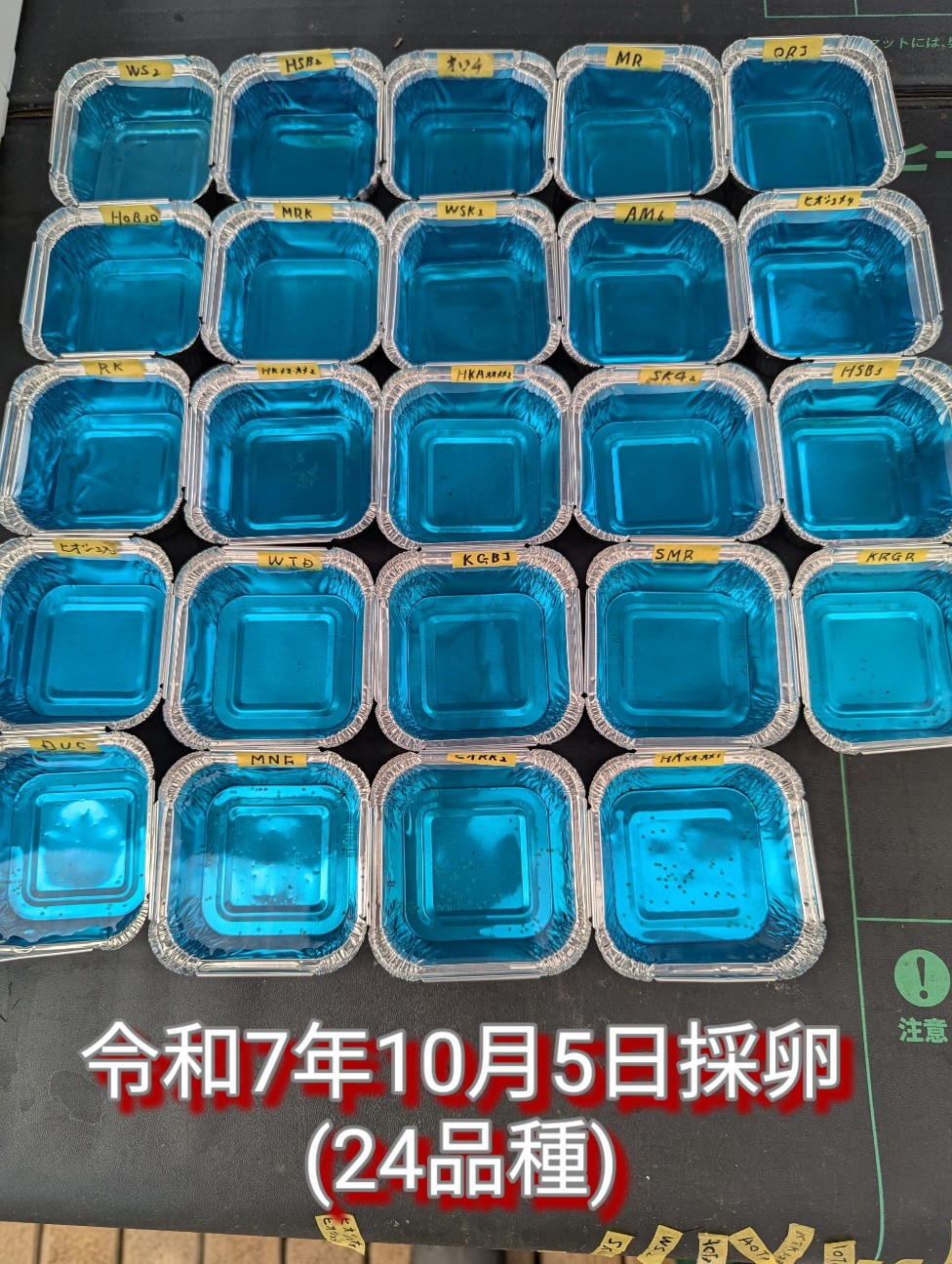 f:id:e-medaka-3846:20251128192926j:image f:id:e-medaka-3846:20251128192926j:image