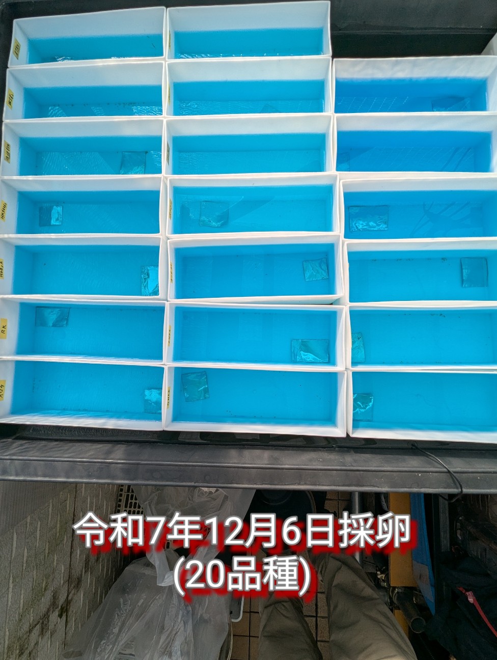 f:id:e-medaka-3846:20251209090049j:image f:id:e-medaka-3846:20251209090049j:image