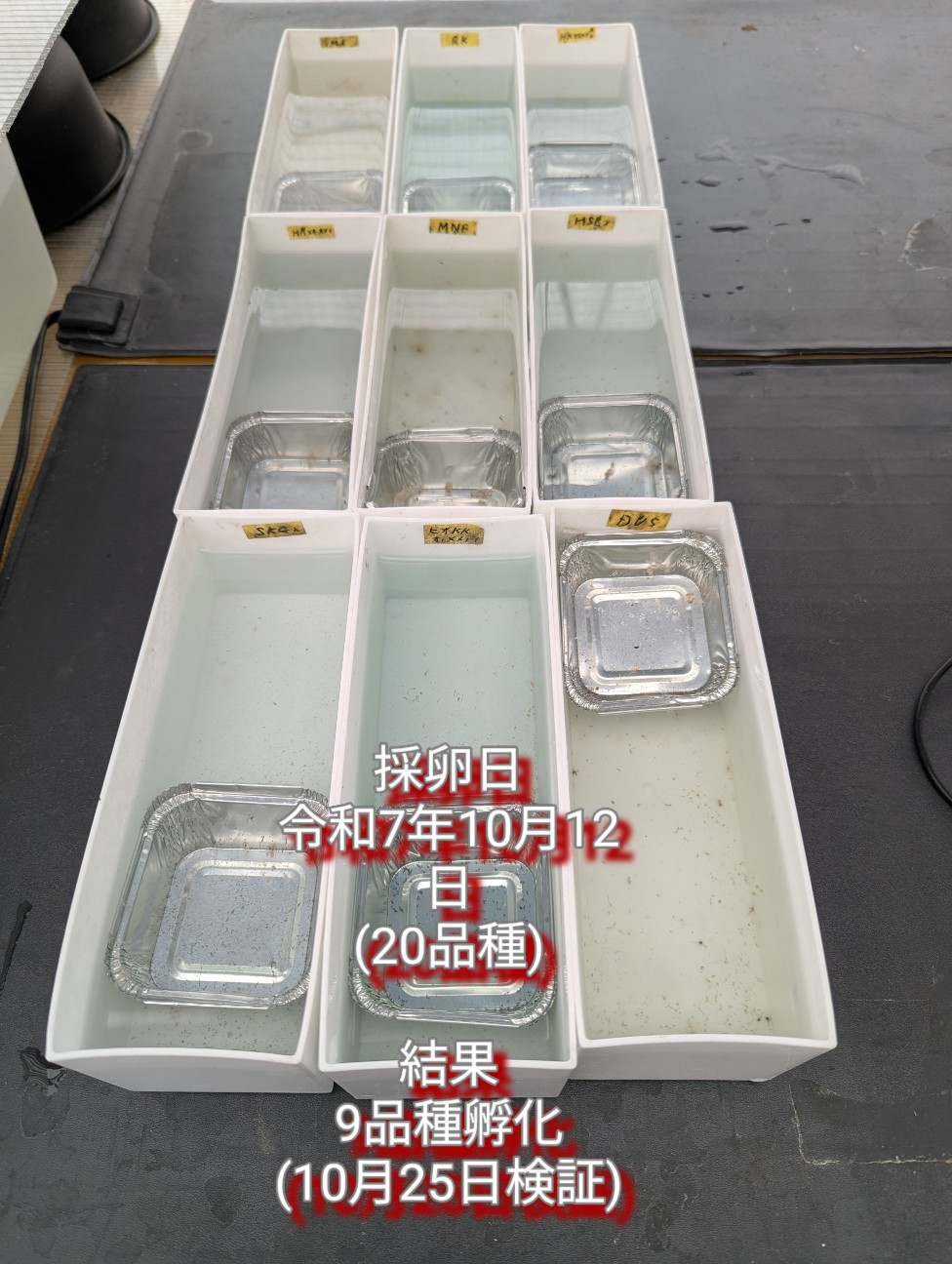 f:id:e-medaka-3846:20251223084419j:image f:id:e-medaka-3846:20251223084419j:image