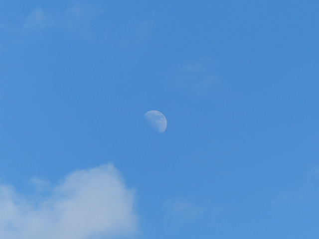 f:id:e-naka:20190116164552j:plain
