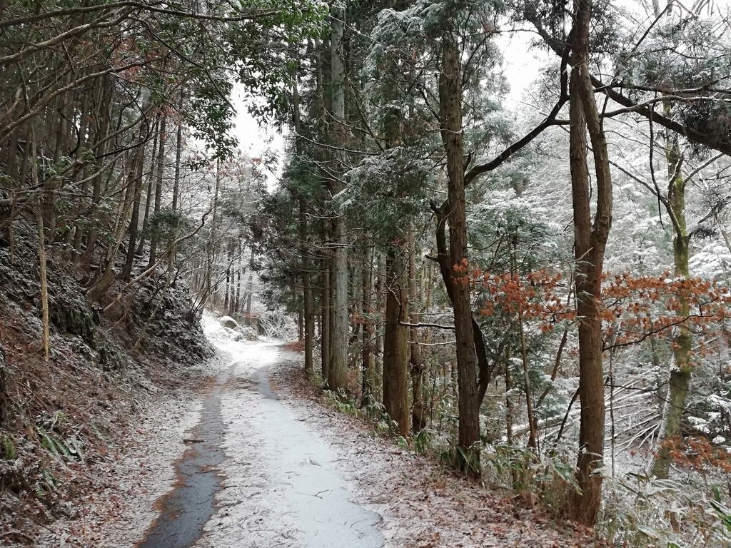 f:id:e-naka:20190129021453j:plain