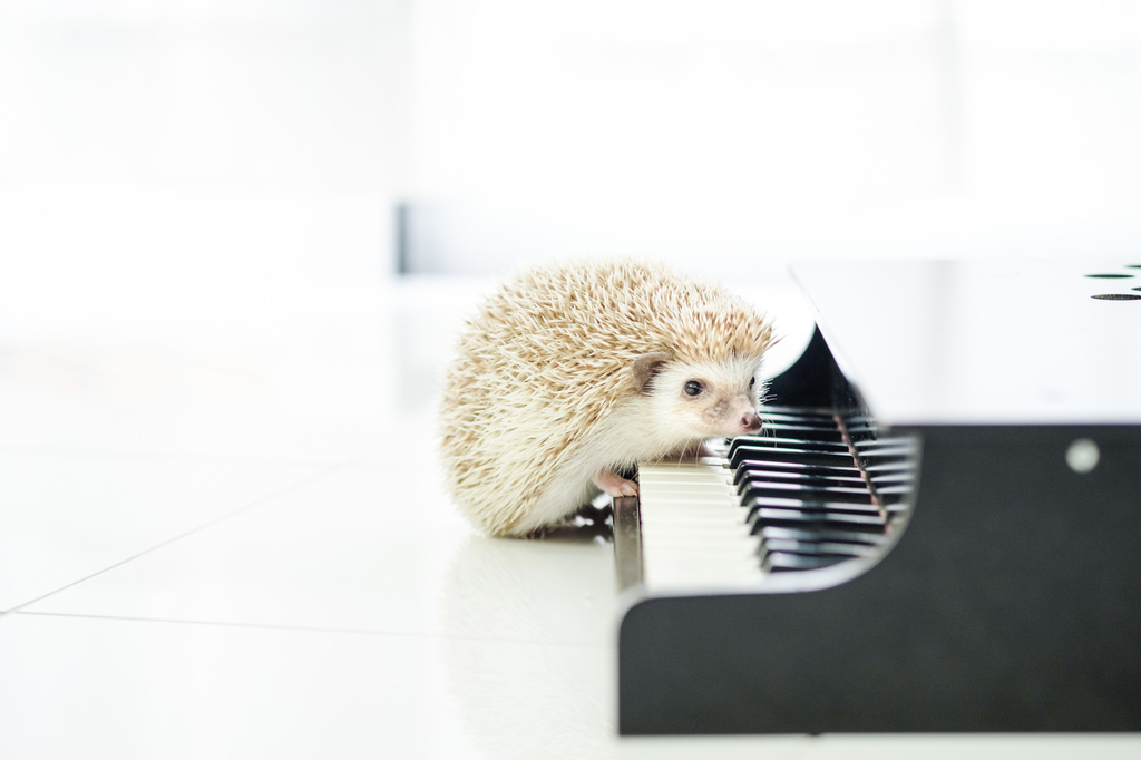 f:id:e-piano:20190311133515j:plain